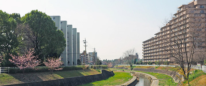 住宅が立つ街の遠景